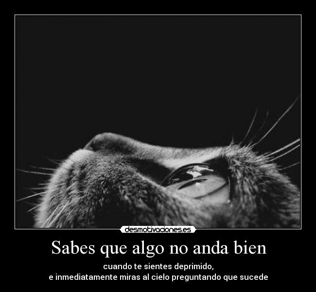 carteles jota desmotivaciones