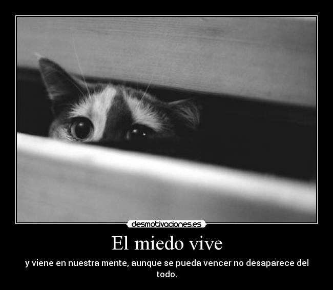 El miedo vive - y viene en nuestra mente, aunque se pueda vencer no desaparece del todo.