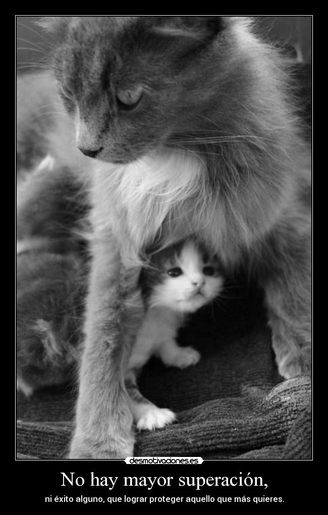 No hay mayor superación, - ni éxito alguno, que lograr proteger aquello que más quieres.