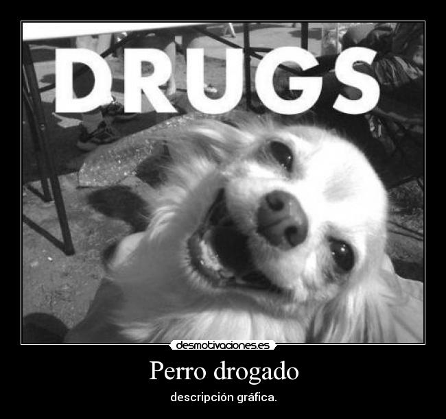 carteles sonrisaseverywhere desmotivaciones