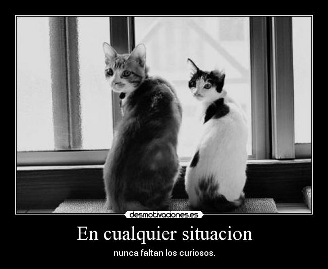 En cualquier situacion - nunca faltan los curiosos.