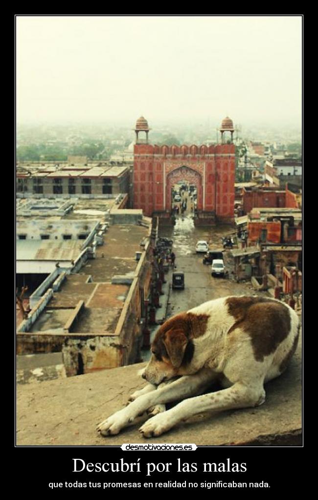 Descubrí por las malas -