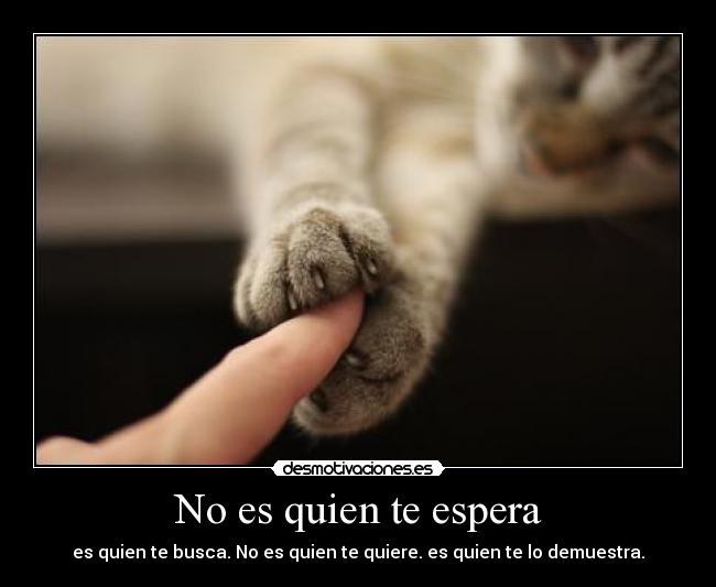 No es quien te espera - es quien te busca. No es quien te quiere. es quien te lo demuestra.