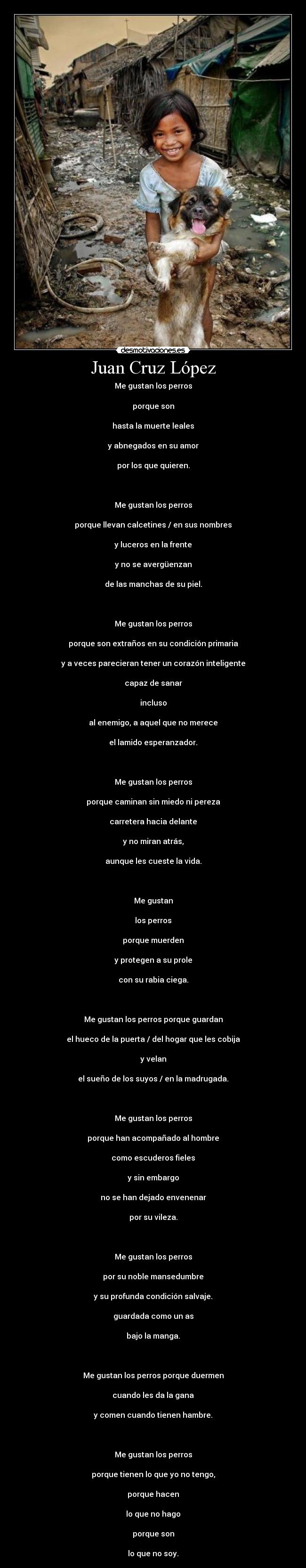 Juan Cruz López - Me gustan los perros
porque son
hasta la muerte leales
y abnegados en su amor
por los que quieren.
Me gustan los perros
porque llevan calcetines / en sus nombres
y luceros en la frente
y no se avergüenzan
de las manchas de su piel.
Me gustan los perros
porque son extraños en su condición primaria
y a veces parecieran tener un corazón inteligente
capaz de sanar
incluso
al enemigo, a aquel que no merece
el lamido esperanzador.
Me gustan los perros
porque caminan sin miedo ni pereza
carretera hacia delante
y no miran atrás,
aunque les cueste la vida.
Me gustan
los perros
porque muerden
y protegen a su prole
con su rabia ciega.
Me gustan los perros porque guardan
el hueco de la puerta / del hogar que les cobija
y velan
el sueño de los suyos / en la madrugada.
Me gustan los perros
porque han acompañado al hombre
como escuderos fieles
y sin embargo
no se han dejado envenenar
por su vileza.
Me gustan los perros
por su noble mansedumbre
y su profunda condición salvaje.
guardada como un as
bajo la manga.
Me gustan los perros porque duermen
cuando les da la gana
y comen cuando tienen hambre.
Me gustan los perros
porque tienen lo que yo no tengo,
porque hacen
lo que no hago
porque son
lo que no soy.