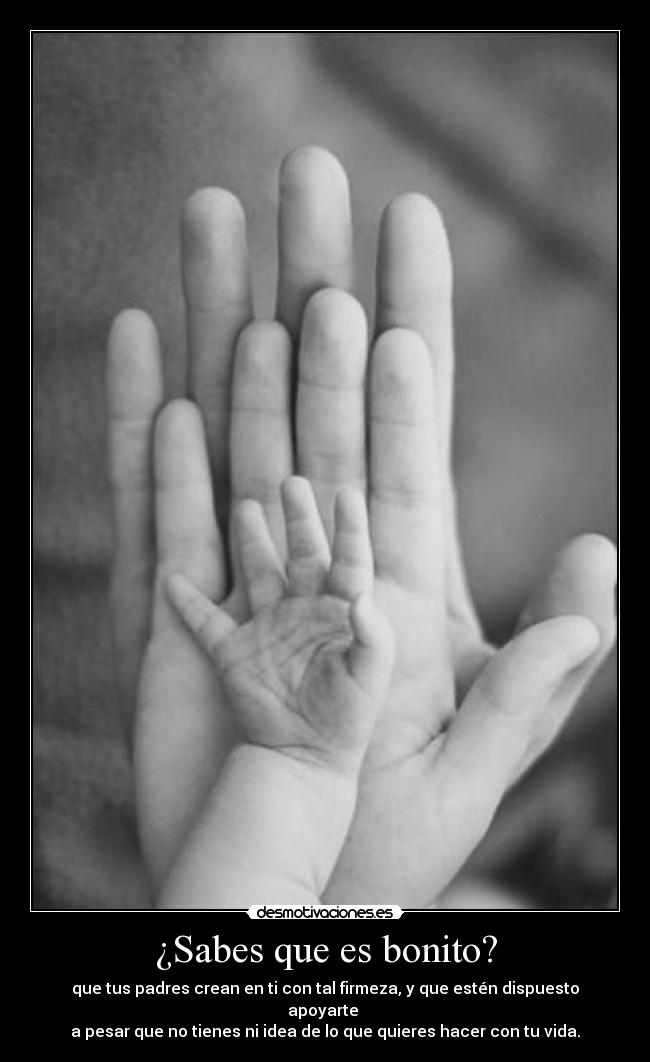 carteles  desmotivaciones