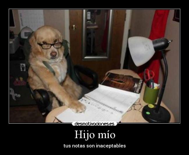 carteles hijo padre perro notas desmotivaciones