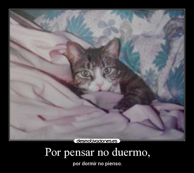 Por pensar no duermo, - por dormir no pienso.