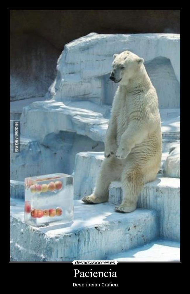 carteles paciencia desmotivaciones