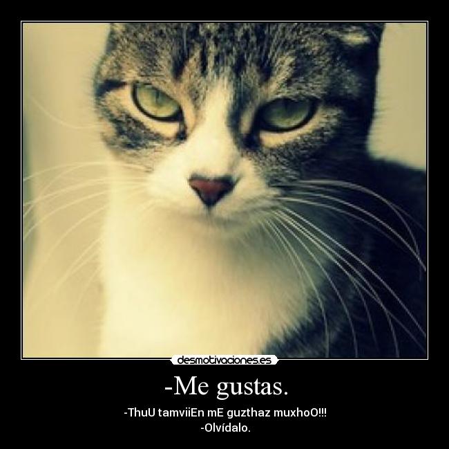-Me gustas. - -ThuU tamviiEn mE guzthaz muxhoO!!!
-Olvídalo.