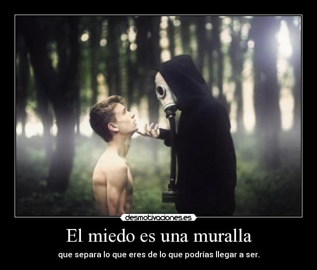 El miedo es una muralla - 