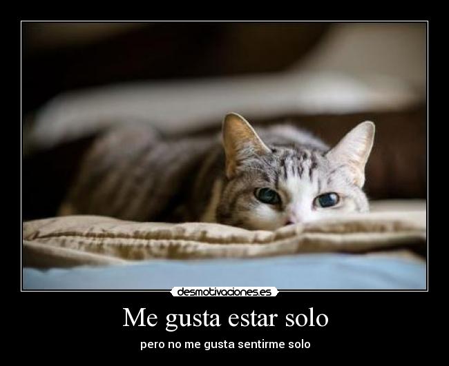 Me gusta estar solo -