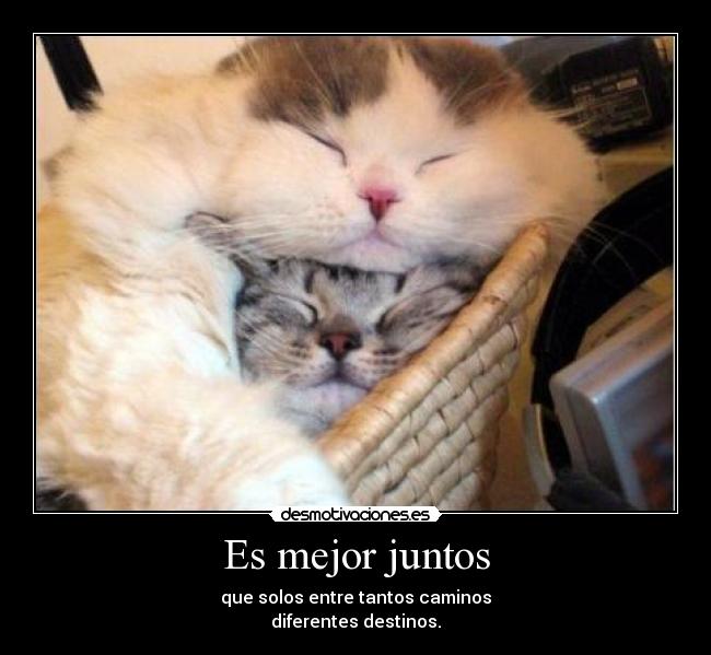 Es mejor juntos - que solos entre tantos caminos
diferentes destinos.