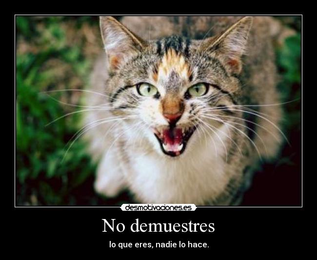 No demuestres - lo que eres, nadie lo hace.
