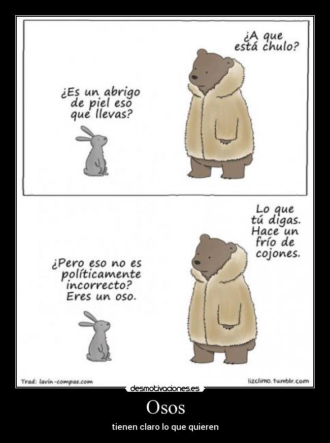 Osos - tienen claro lo que quieren