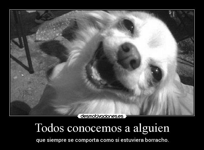 carteles perro jrasioso gegege unicorniosfelices desmotivaciones