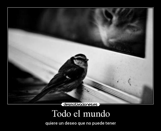 Todo el mundo - quiere un deseo que no puede tener