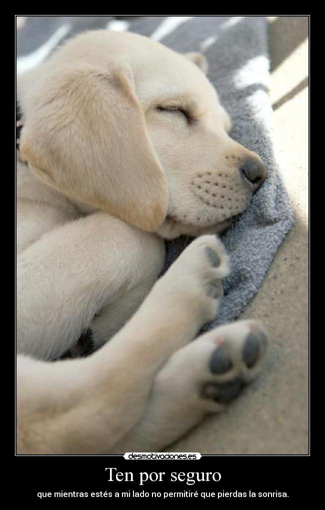 Ten por seguro -