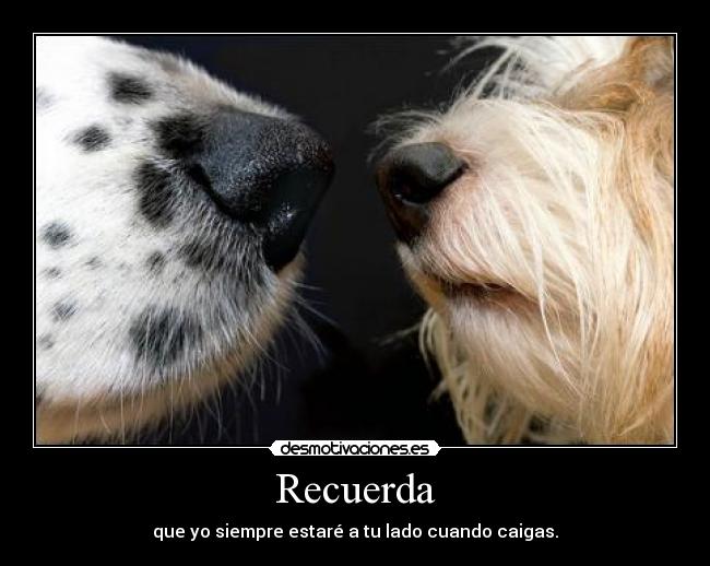 Recuerda -