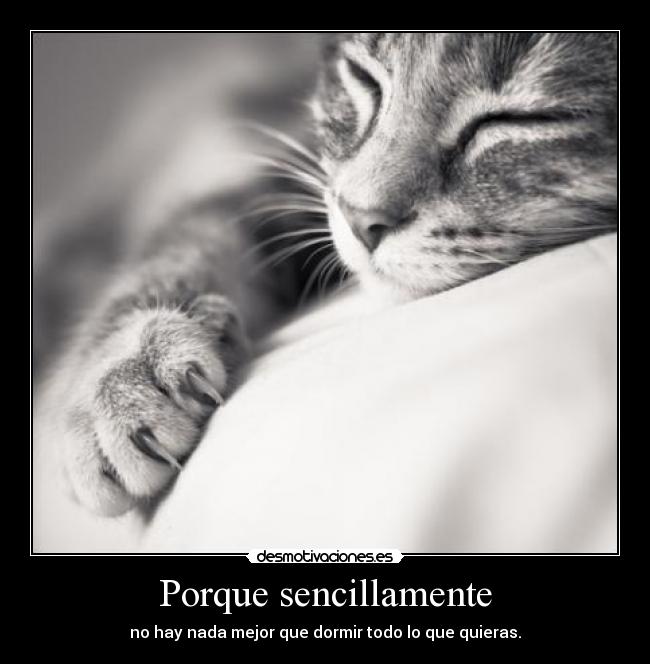 Porque sencillamente - no hay nada mejor que dormir todo lo que quieras.