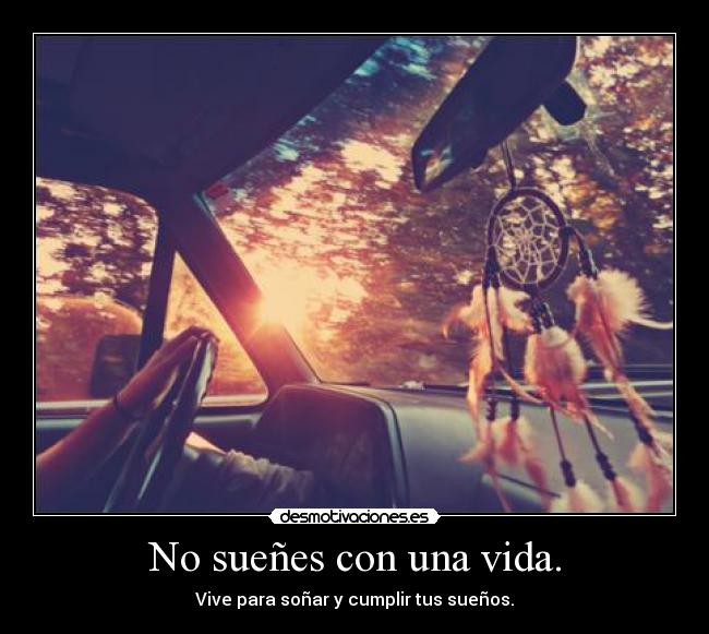 carteles vida buu desmotivaciones