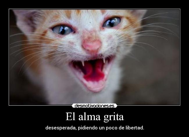 El alma grita - desesperada, pidiendo un poco de libertad.