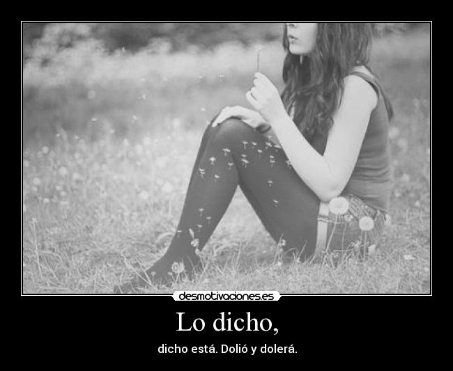 Lo dicho, - dicho está. Dolió y dolerá.