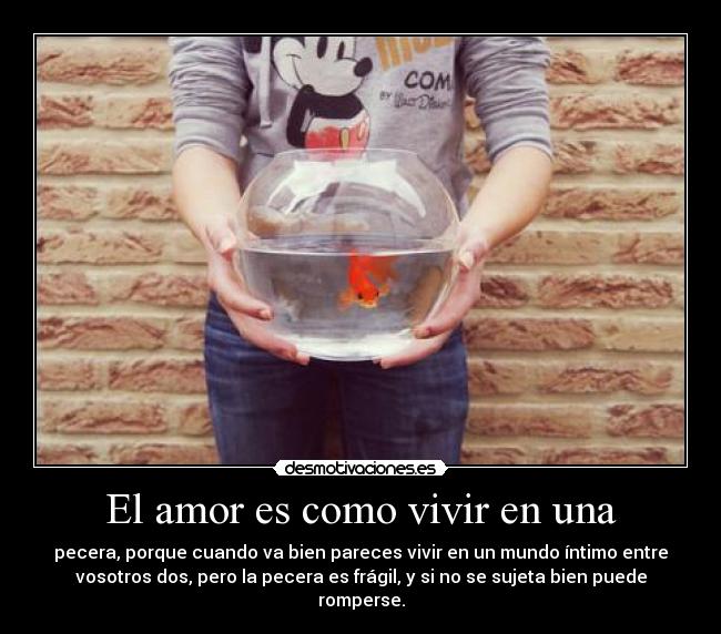 El amor es como vivir en una - pecera, porque cuando va bien pareces vivir en un mundo íntimo entre
vosotros dos, pero la pecera es frágil, y si no se sujeta bien puede
romperse.