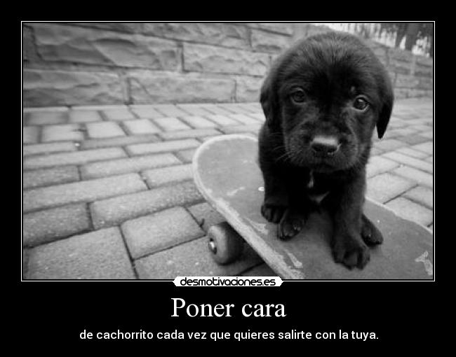 Poner cara - 