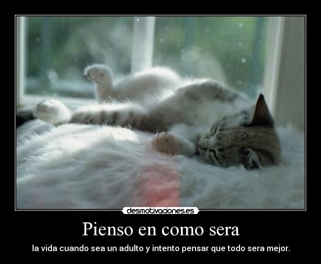 carteles lolchinolol desmotivaciones