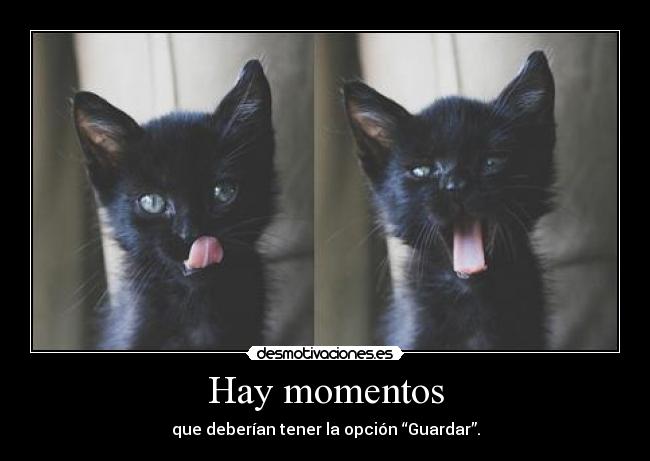 Hay momentos - que deberían tener la opción “Guardar”.