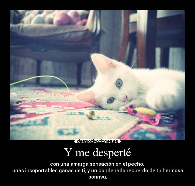 Y me desperté - con una amarga sensación en el pecho,
unas insoportables ganas de ti, y un condenado recuerdo de tu hermosa sonrisa.