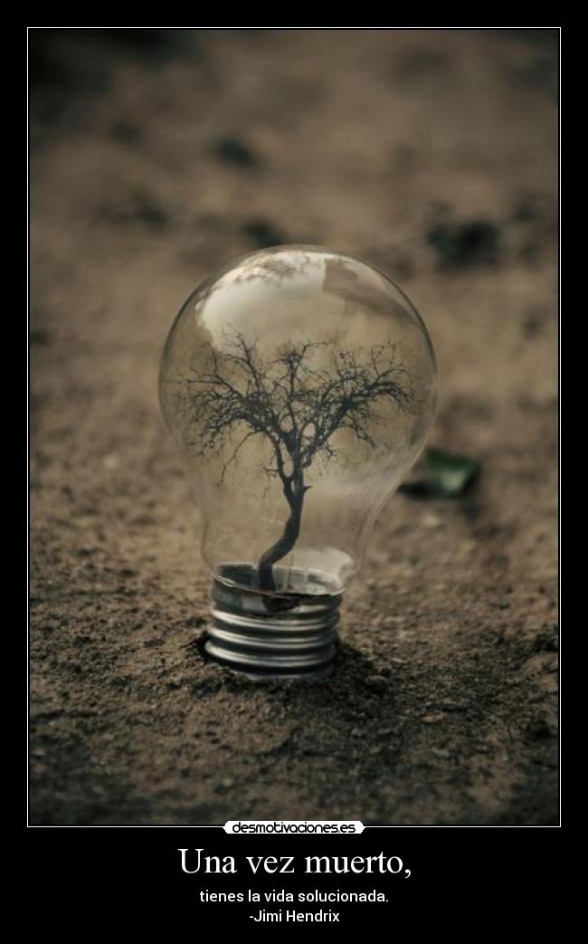 carteles una vez muerto tienes vida solucionada jimi hendrix desmotivaciones