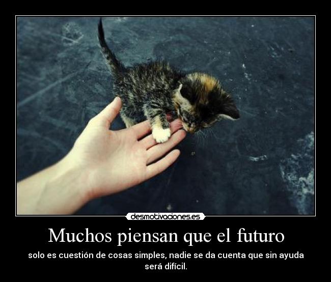 carteles nadie todos sino unos pocos desmotivaciones