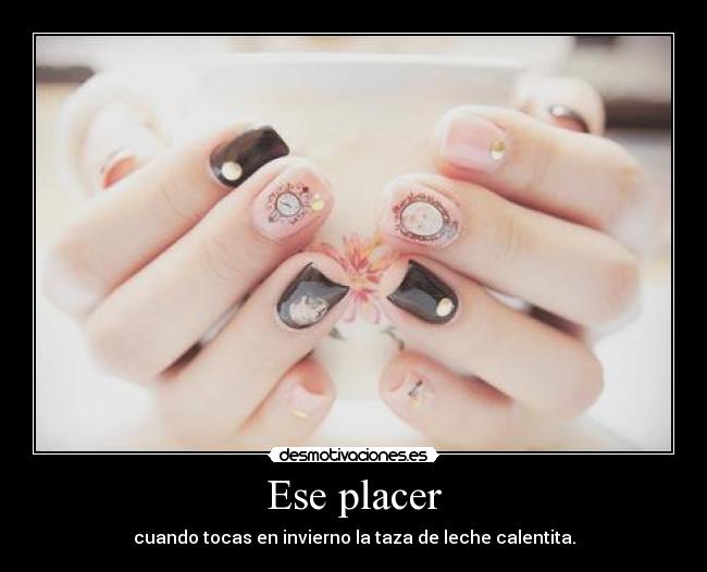 carteles placer placentero lol desmotivaciones