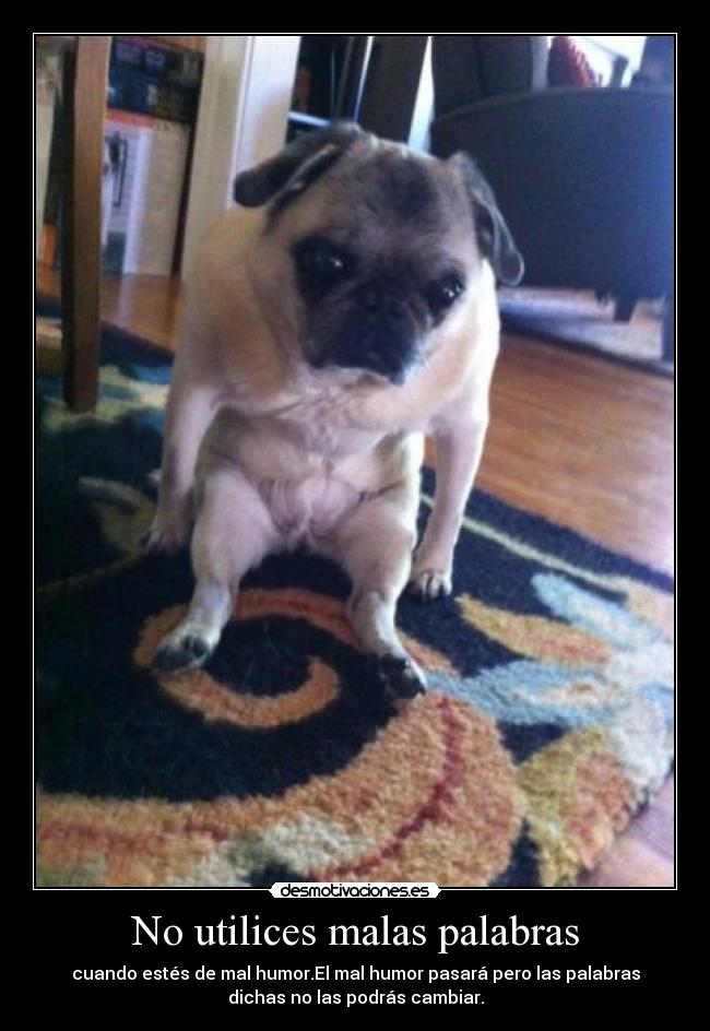 No utilices malas palabras -