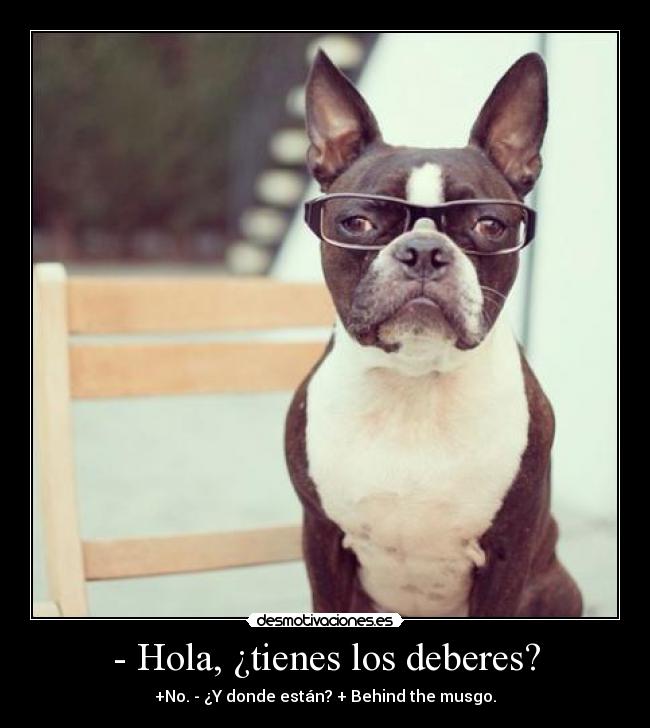 - Hola, ¿tienes los deberes? - +No. - ¿Y donde están? + Behind the musgo.