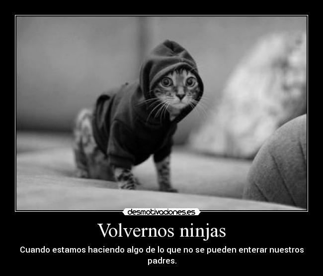 Volvernos ninjas -