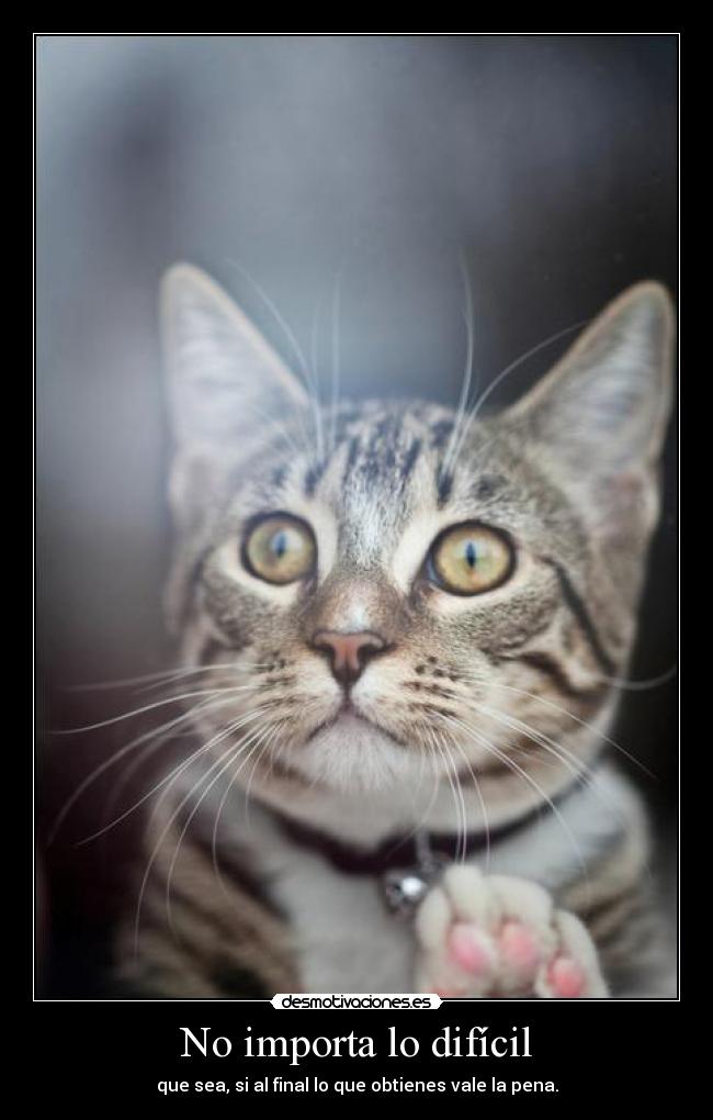 No importa lo difícil -