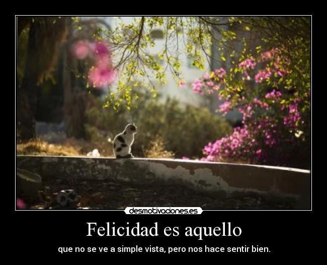 Felicidad es aquello - que no se ve a simple vista, pero nos hace sentir bien.