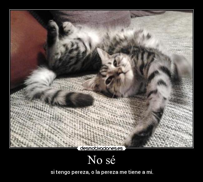 No sé -