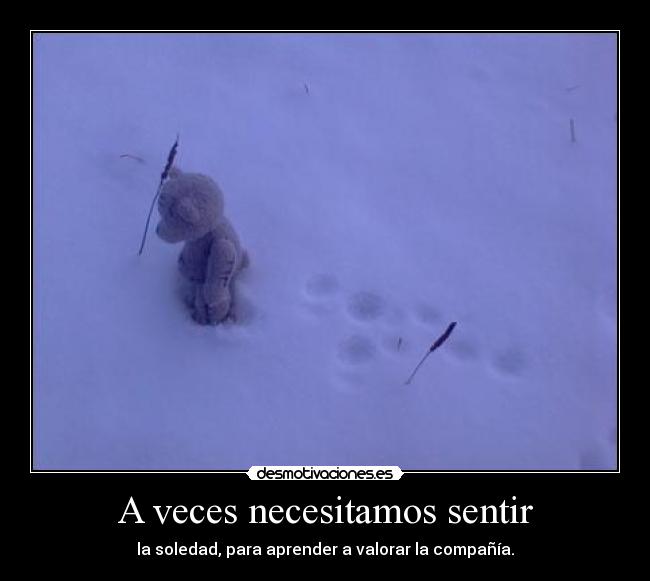 A veces necesitamos sentir - 