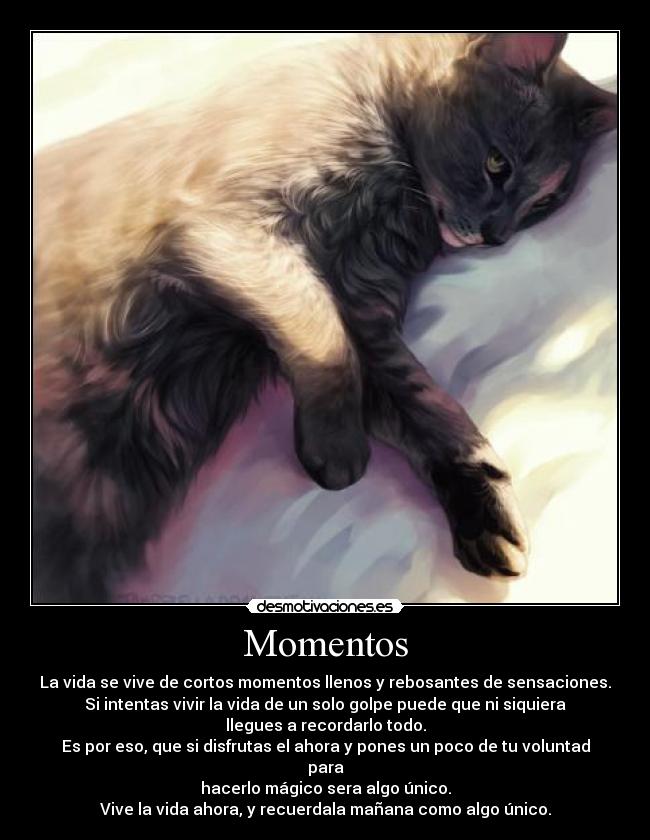 Momentos - 