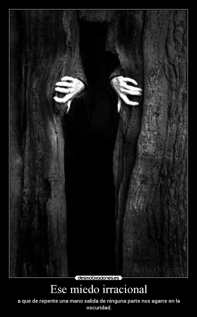 Ese miedo irracional - 