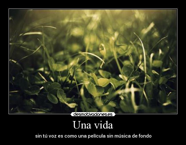 Una vida -