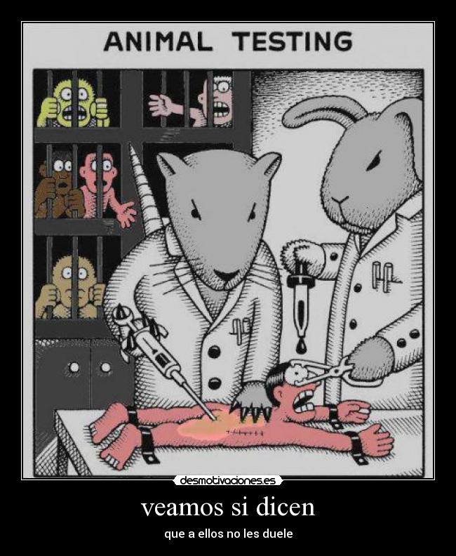 veamos si dicen - que a ellos no les duele