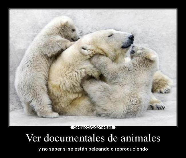 Ver documentales de animales - y no saber si se están peleando o reproduciendo