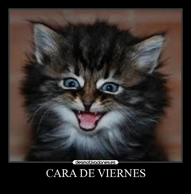 CARA DE VIERNES -