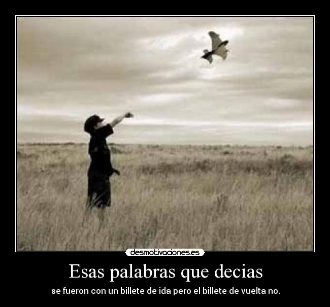 Esas palabras que decias - se fueron con un billete de ida pero el billete de vuelta no.