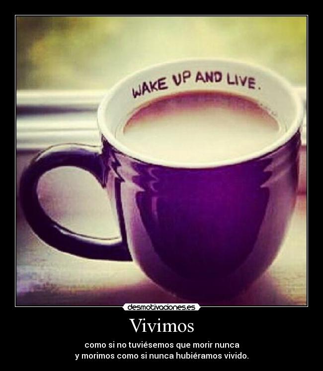 Vivimos - 