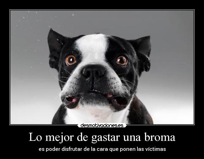 Lo mejor de gastar una broma - 